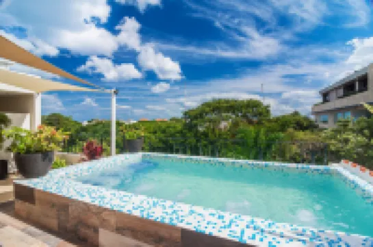 スイーツ コラゾン