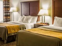 Comfort Inn Hotels in Saginaw County
