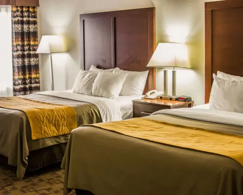 Comfort Inn Hotels in Birch Run
