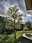 La Vallée Hôtel &Spa Hotels in Bagnes