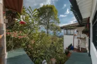 Eco Lodge la Juanita - Mountain view