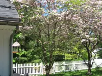 Beautiful Valley Guesthouse