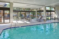 Courtyard Detroit Dearborn - Pools