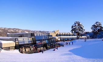 a snowy ski slope with numerous skiers and snowboarders enjoying their time on the slopes at Hotel Hakuba