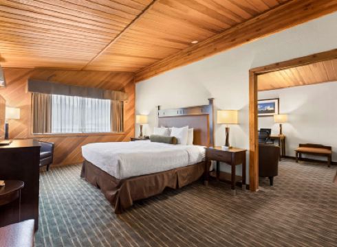 Best Western Plus Tree House