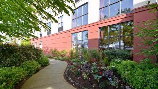 hampton-inn-and-suites-by-hilton-langley-surrey