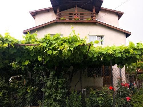Ivaylova House - Housity