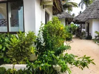 Jambiani White Sands Bungalows