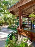 Shaya Resort