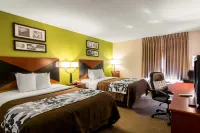 Sleep Inn & Suites Near Fort Gregg-Adams Hotels in Prince George