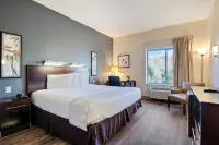 Suburban Studios Orlando - Ocoee-Winter Garden Hôtels à : Winter Garden