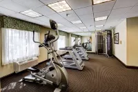 Holiday Inn Express COLUMBUS - DUBLIN by IHG - Gym