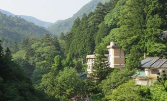 Kashiwaya Ryokan' Hot Spring Resort in the Gorge