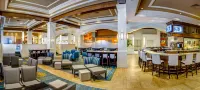Rosen Shingle Creek Universal Blvd - Barer