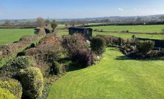 a lush green field with a small house surrounded by trees and shrubs , creating a serene and peaceful atmosphere at Corner House