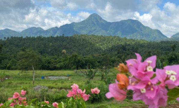 Villaconzoilo Farm Hotel - Housity