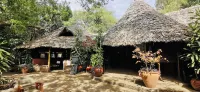 Fig Tree Camp - Maasai Mara