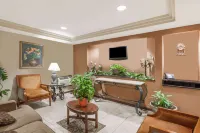 Travelodge Inn & Suites by Wyndham Albany