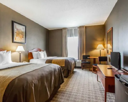 本頓德拉芬維爾凱藝套房酒店 酒店