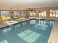La Quinta Inn & Suites by Wyndham Macon West - Pools