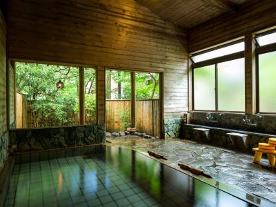 スパ・大浴場 美食と自家源泉を愉しむ静寂の宿　秘湯・鷹ノ巣温泉　鷹の巣館の写真