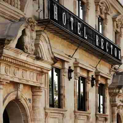Hotel Rector Hotel Exterior