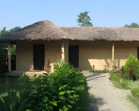 Racyshade Resort- Bardia National Park Hotels in Bardia