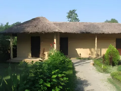 Racyshade Resort- Bardia National Park Hotels in 