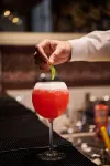 Radisson Blu Hotel & Suites GRT Chennai - bar