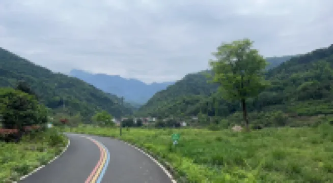 Emeishan Zhongxingshan Homestay (Dumen Street No.1)