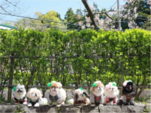 Love Dog Resorts Izu-Kogen