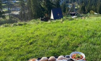 Tatra Glamp Bukowina Tatrzańska - Sieć Noclegowa Tatra Glamp - Housity