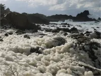 Hotel Kappo Ishimaru