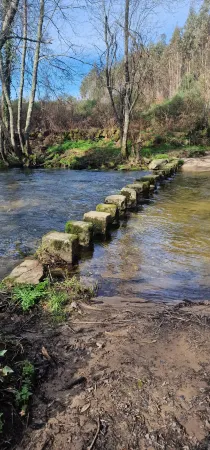 Rustic Retreat-african Dream
