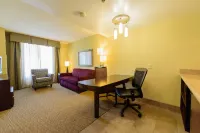 Embassy Suites by Hilton Minneapolis North فنادق في Brooklyn Center