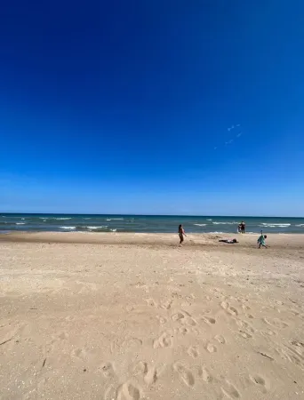 The Blue Elk - Lake Huron Views & Beach Access Отели рядом с достопримечательностью «Оскода Бич Парк»