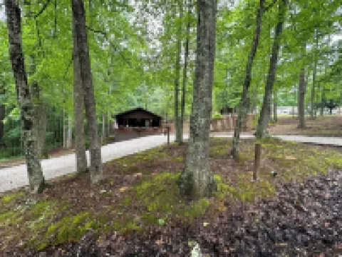 Newly renovated 2 bedroom cabin near Cave Run Lake & Red River Gorge