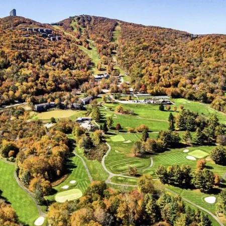 Sugar Mountain<br>-Sugar Bear @Sugartop Resort