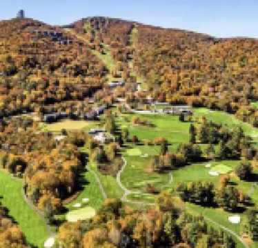 Sugar Mountain<br>-Sugar Bear @Sugartop Resort