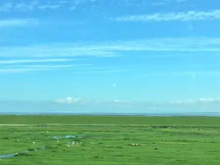 Cozy and charmingly furnished 30sqm apartments in a central location of Husum Отели рядом с достопримечательностью «Парк Хузумер Шлос»