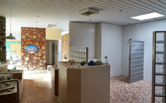 Above the clouds, in the middle of the forest