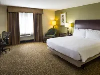 힐튼 가든 인 햄프턴 콜리세움 센트럴 햄프턴 호텔