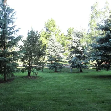 Cozy studio on Copper Moutain only 100 yards to the Super Bee.  Pet Friendly!