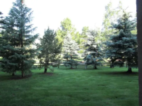 Cozy studio on Copper Moutain only 100 yards to the Super Bee.  Pet Friendly!