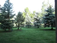 Cozy studio on Copper Moutain only 100 yards to the Super Bee.  Pet Friendly! Hotel a Copper Mountain