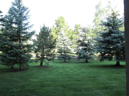 Cozy studio on Copper Moutain only 100 yards to the Super Bee.  Pet Friendly!