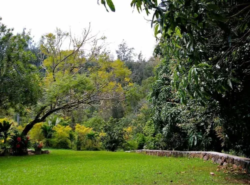 Beautiful Spacious Cottage on 1.5 Acre of Lush, Gated Property.  30 Day Minimum. Hotels in Pupukea