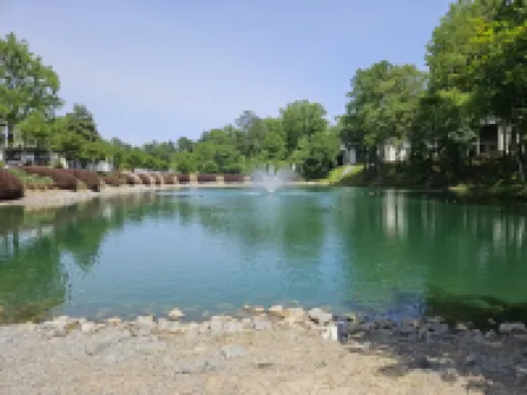 The Lake view by the Truist Park