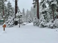 The Little Cabin 🌲The coziest cabin on the Mountain.
