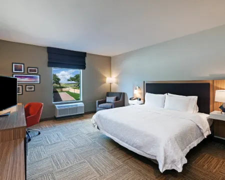 ハンプトン イン ブルヴェルデ テキサス ヒル カントリー スプリング・ブランチのホテル